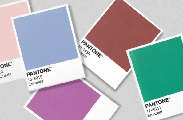 Pantone Nedir Ne İşe Yarar